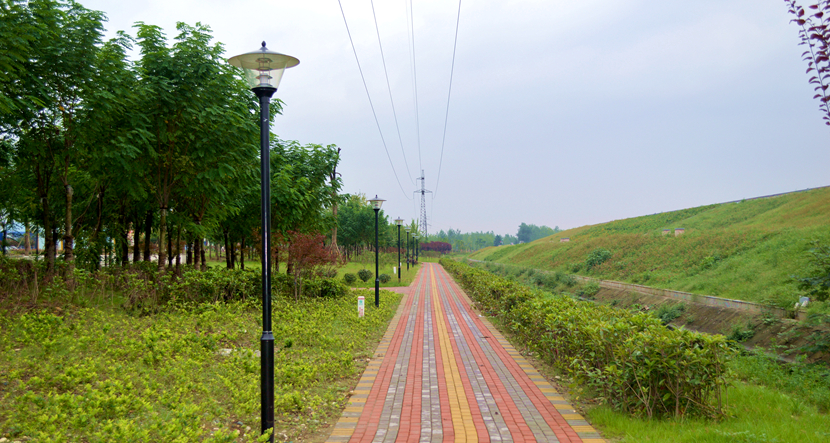 湖北·316 國道老河口市城區(qū)梨花大道景觀項目